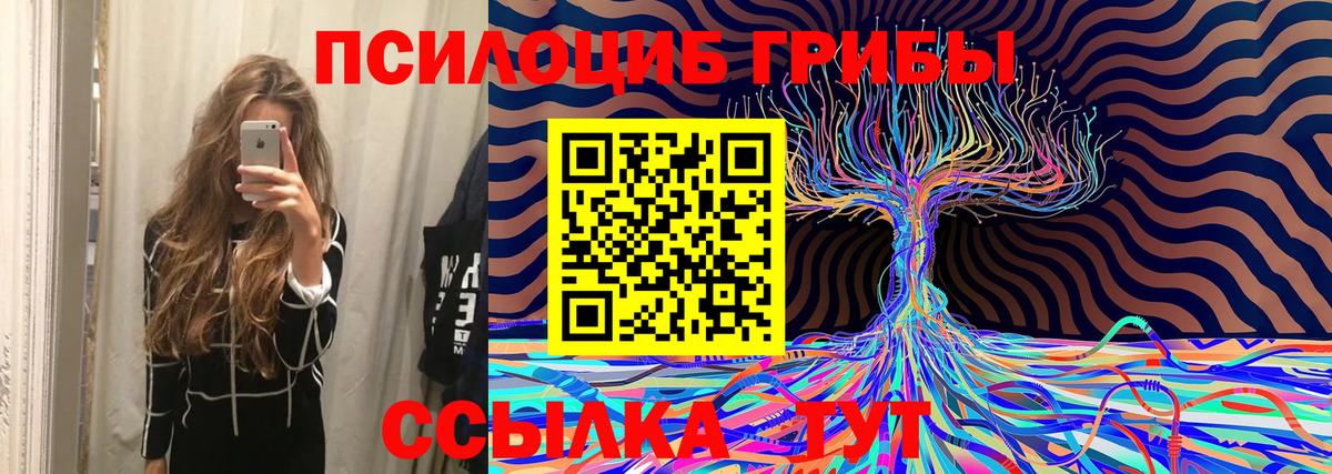Котельники  Галлюциногенные грибы мицелий  Вход с VPN 